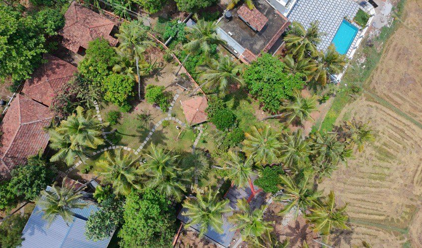 The center from above: buildings and cottages among palms beside rice fields