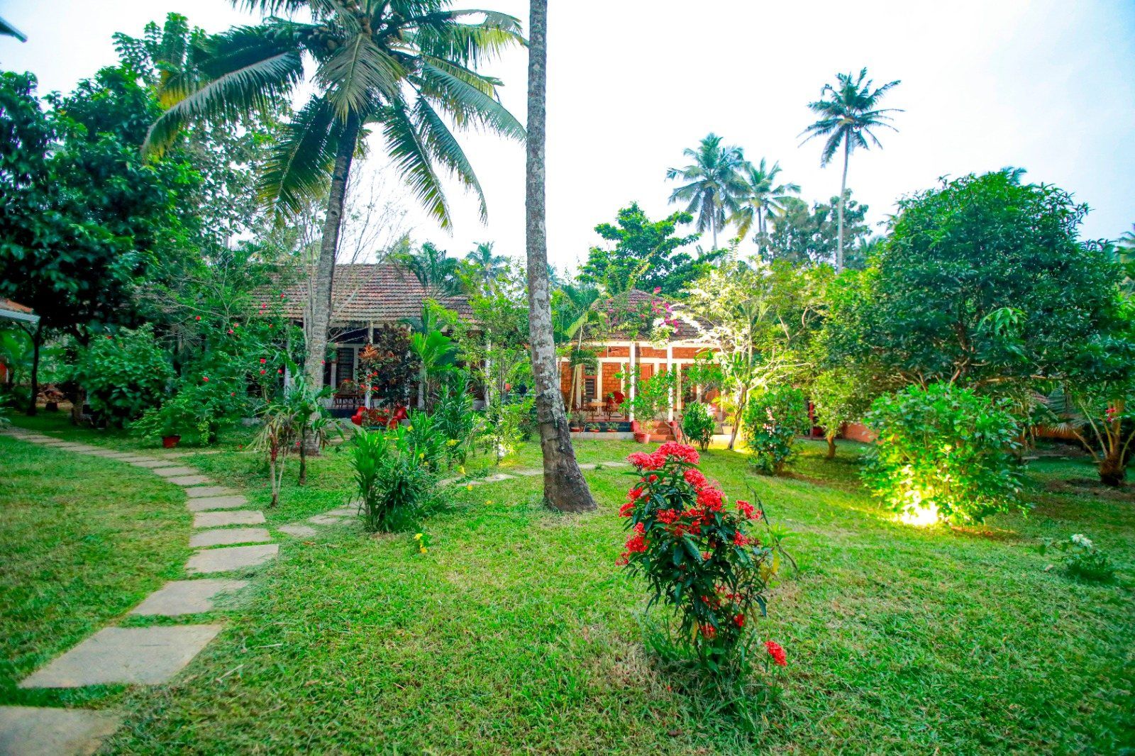 The center's garden in the evening