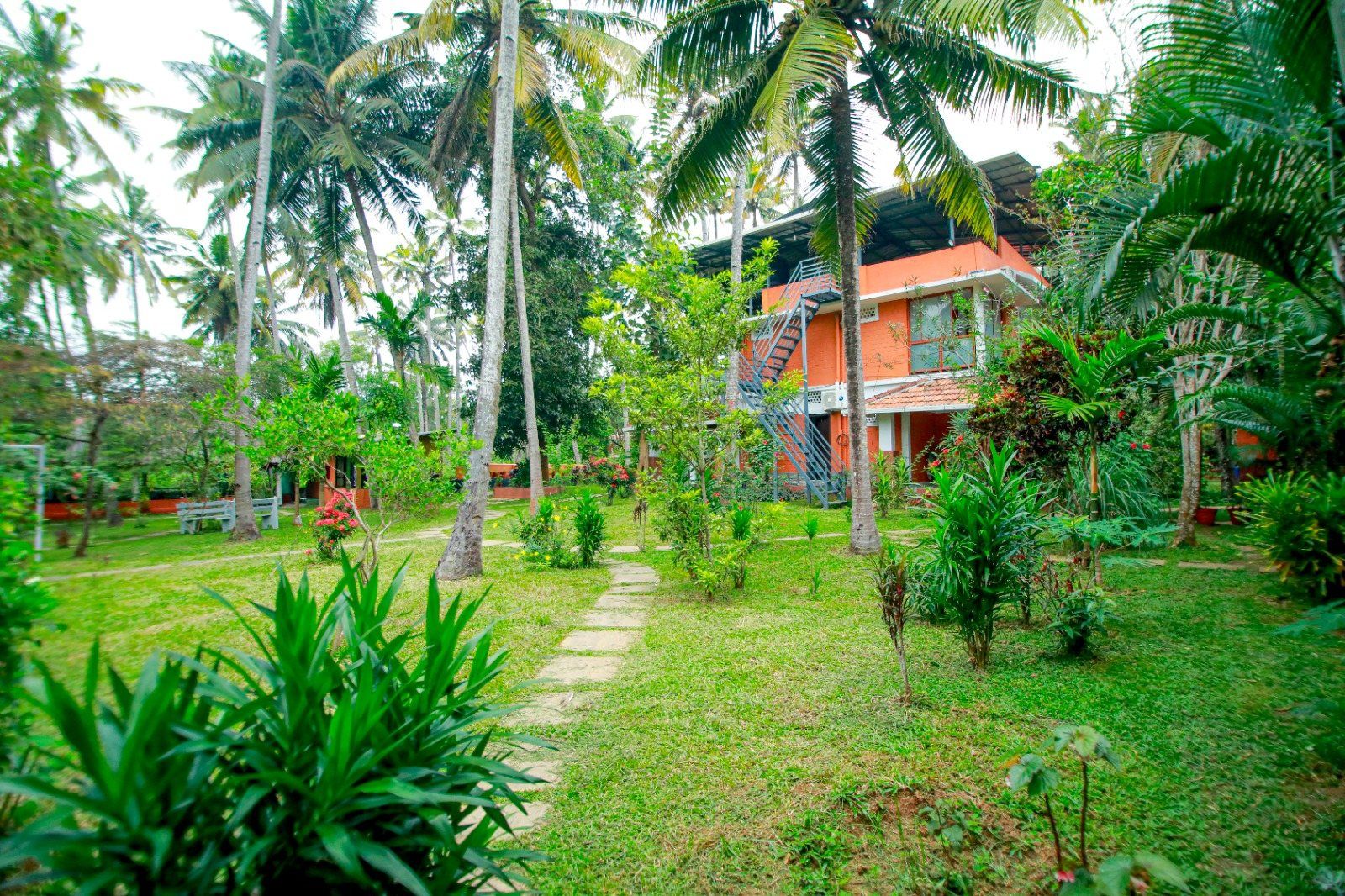 An Ayurveda Heritage building among coconut palms